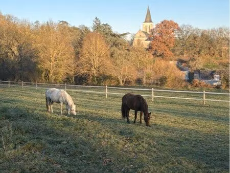? pré à louer pour chevaux – cadre naturel calme – secteur saumur ?