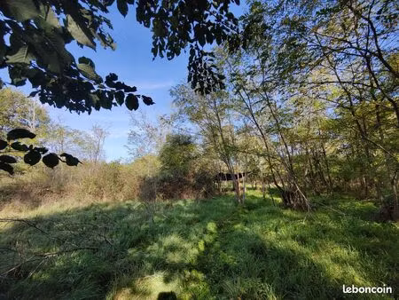terrain de 10 085 m² à veuzain-sur-loire (41150)