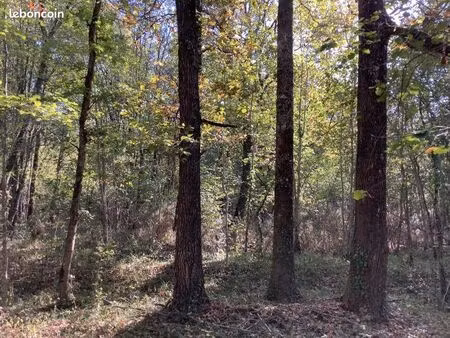 terrain non constructible