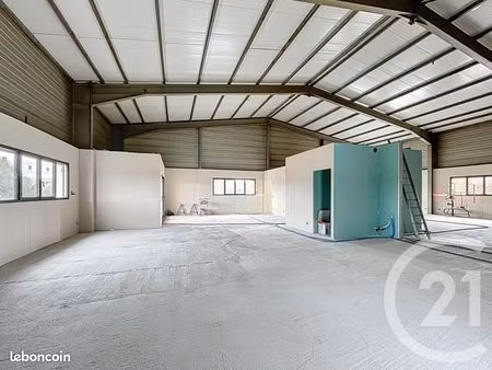 local 300 m²