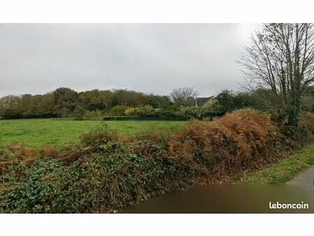 terrain 505 m² fouesnant