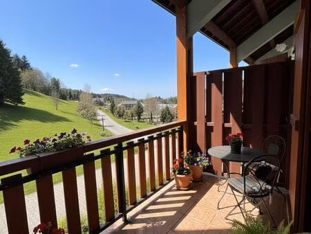 magnifique studio meublé de 26 m2 avec balcon  mezzanine  possibilité 8 couchages à l'alpe