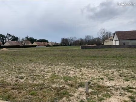 terrain constructible