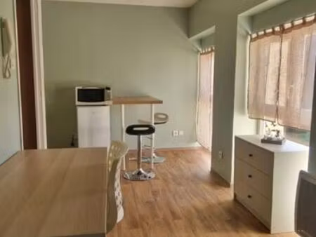 studio lumineux de 21m²