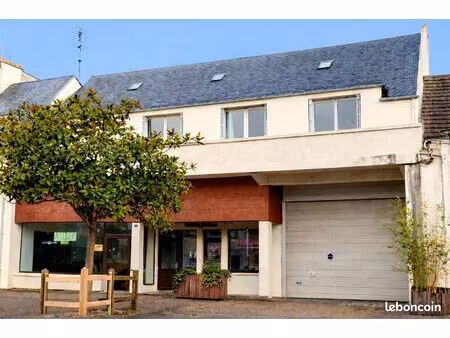 ensemble appartement + 2 locaux commerciaux