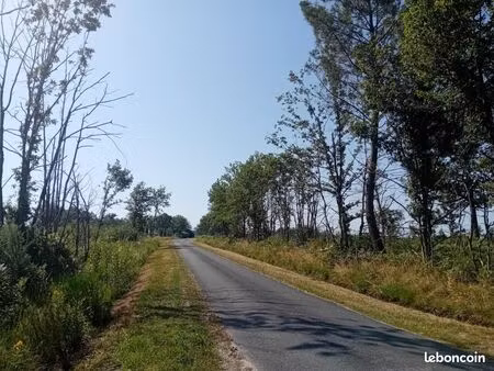 terrain / champs 10 hectares pâture chevaux ou autres animaux