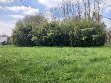 terrain 730 m² cartelegue