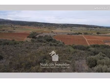 terrain agricole 13 475 m² baixas