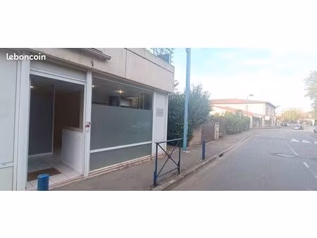 local professionel centre castelginest