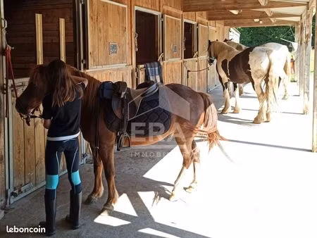 terrain 9 pièces 120 m²