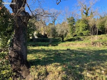 terrain 1619 m² lodève