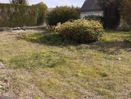 terrain constructible viabilisé