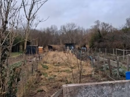 terrain jardin potager veigne