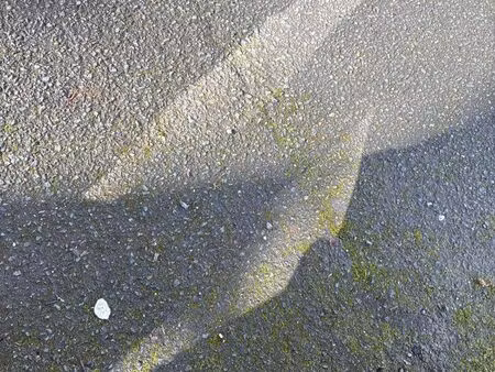 appartement ou maison