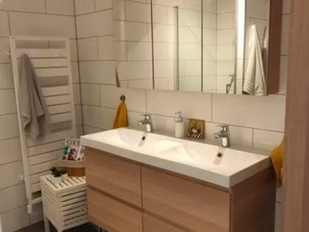 appartement rénové 3 pièces  77 m² · huningue 68330