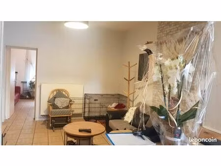 bel appartement type 2 à louer vieux berquin