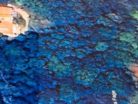 vente terrain boisé