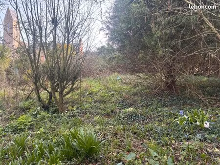 terrain constructible