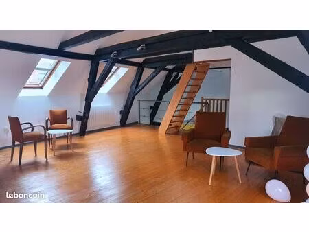loft 59 m² didenheim centre