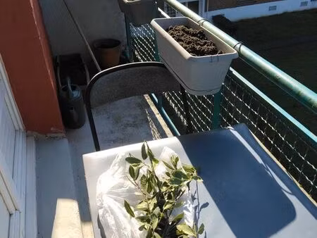 appartement 2 chambres