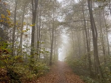 propriété forestière 35 hectares lot et garonne