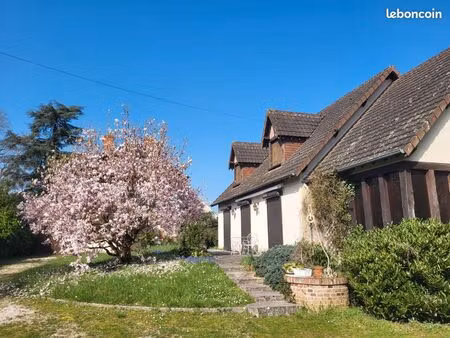 a vendre belle maison solognote proche centre-ville