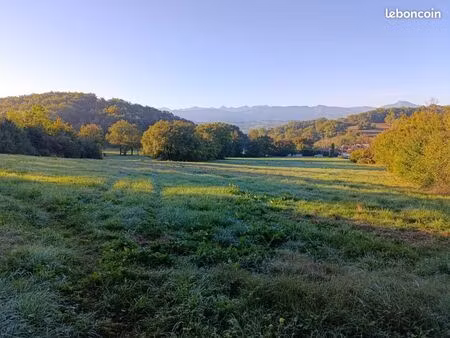 terrain 1 900 m² saint martory