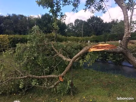 vends terrain non constructible avec étangs