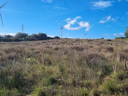 terrain 10000m2 baixas