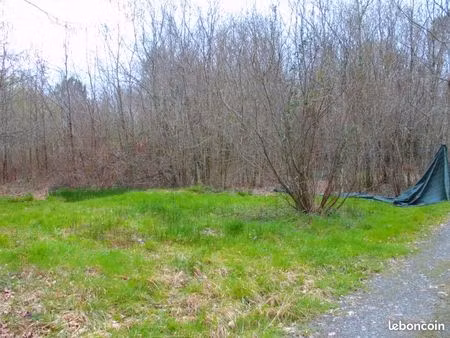 loue emplacement tiny house ou caravane