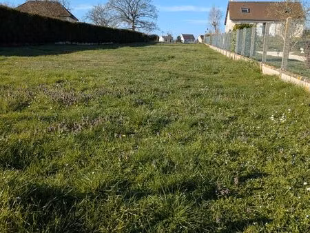 terrain pour activité agricole