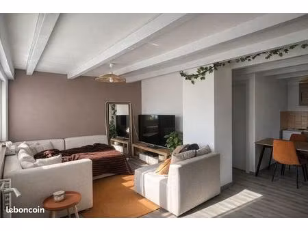 appartement 2 pièces loué + parking + cave + grenier