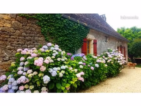 maison en pierre avec piscine et grange - proche trémolat