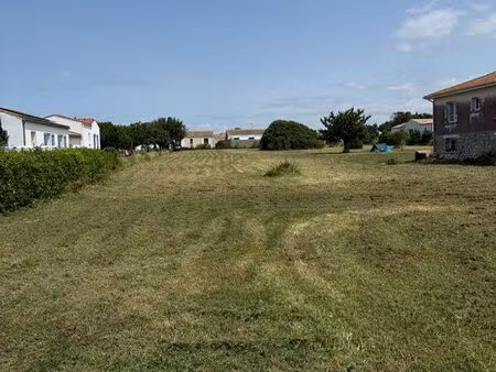 terrain constructible