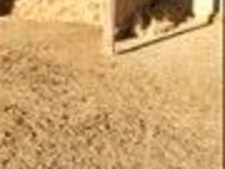 terrain agricole 1hectare 800