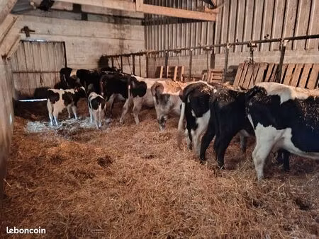 exploitation agricole