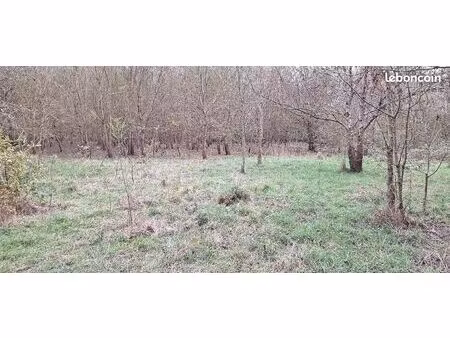 terrain 19 000 m² ancenis