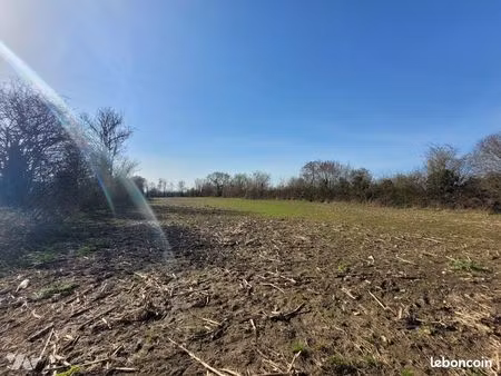 terrain 6974 m² male