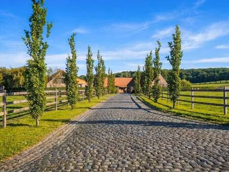 maison à vendre à heestert (llcqo) - immo emeraude kortrijk | zimmo