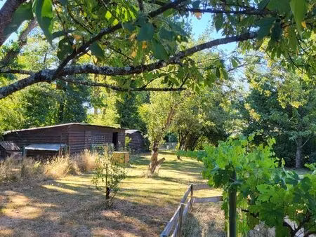 terrain 1148m2  cabanes en bois  arbres fruitiers