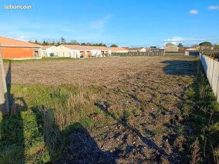 terrain constructible