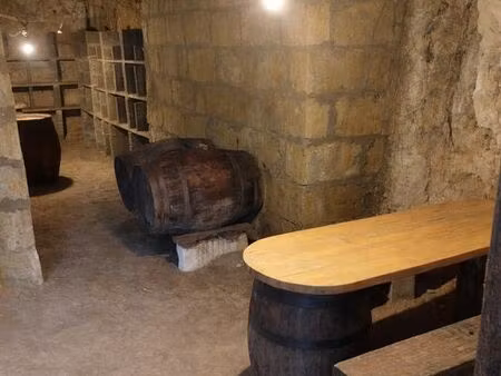 cave troglodytique en tuffeau avec 1 300 m² boisés au dessus