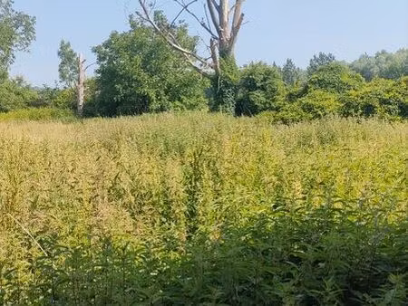 loue terrain ou prêt à usage