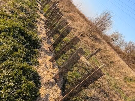 terrain de loisir 2500 m² avec mare et arbres fruitiers – pleine campagne – proche gare