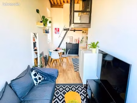 charmant t1 meublé avec vue panoramique – lyon 1er