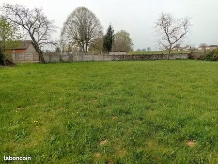 terrain constructible