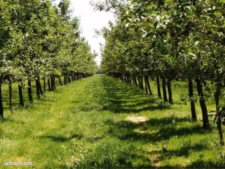 terrain viticole agricole ou verger