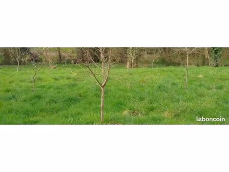 jeune verger à vendre