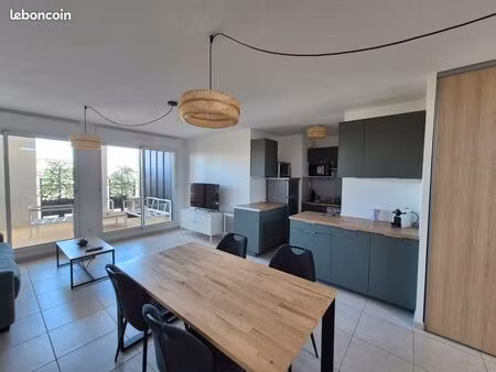 spacieux t2 55m2 terrasse et parking