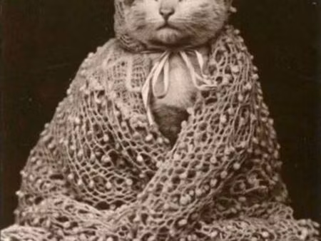 recherche maison isolée en ruine